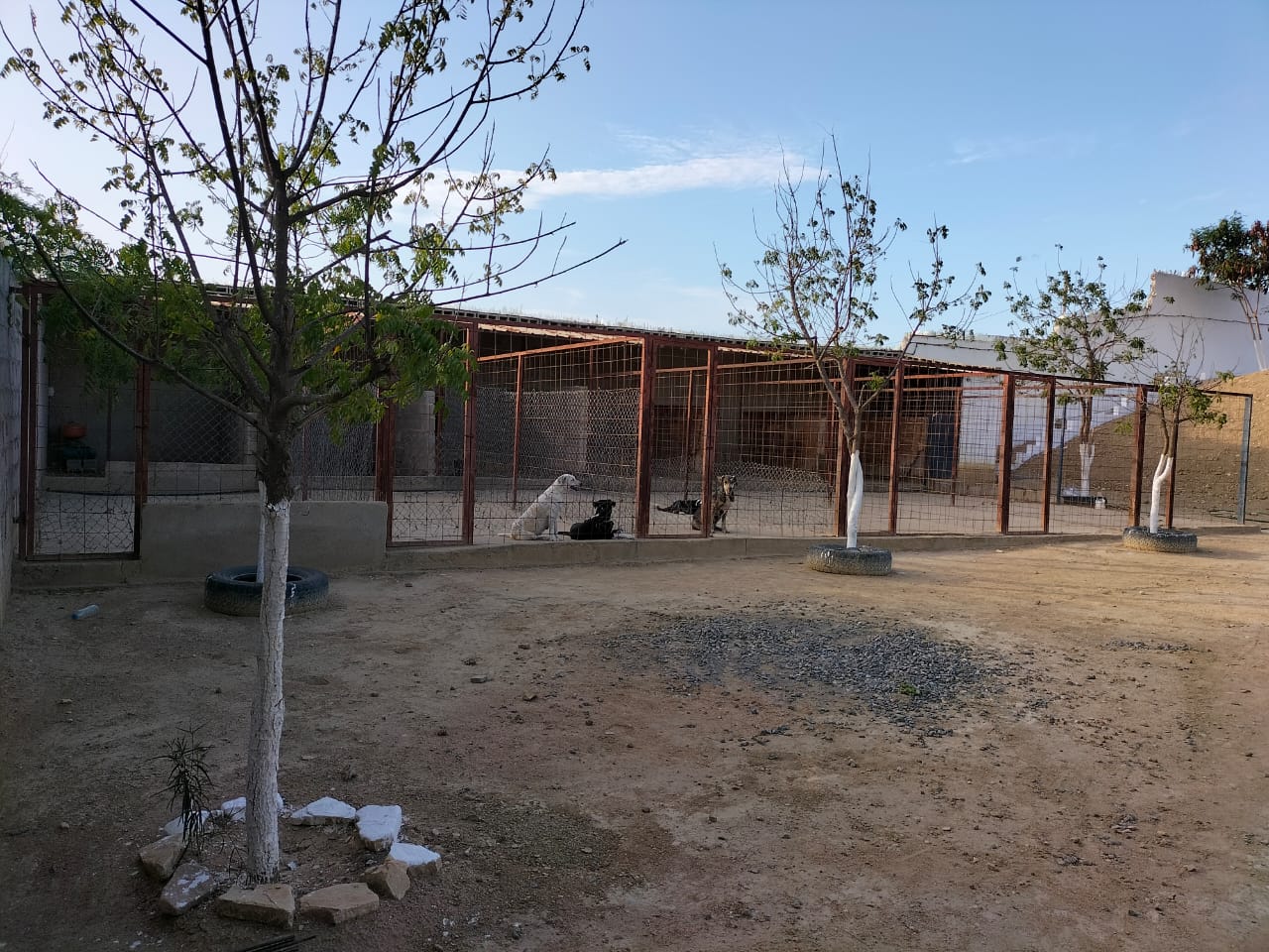 VENDER: EMPREENDIMENTO MISTO EM BENGUELA